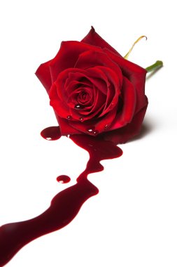 Bleeding rose clipart