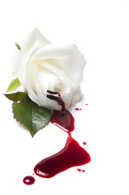 Bleeding white rose clipart