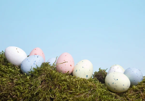 Spotted eggs on moss — Stock Photo, Image