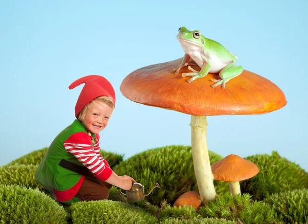Tuin gnome en kikker — Stockfoto
