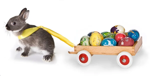 兔子的购物车 — 图库照片