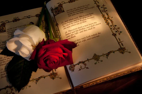Růže a bible — Stock fotografie