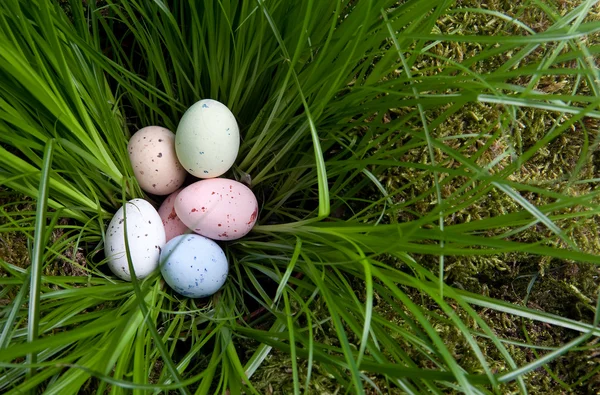 Пасхальные яйца в траве — стоковое фото