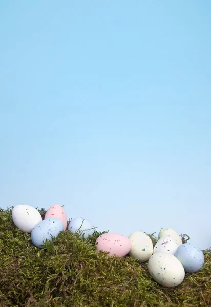 苔藓上的粉彩复活节彩蛋。 — 图库照片