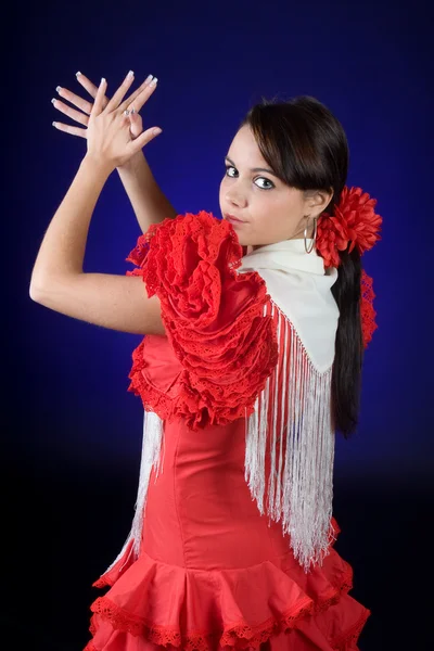 İspanyol flamenkosu — Stok fotoğraf