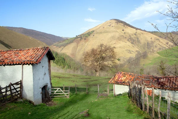 stock image Mountain farm