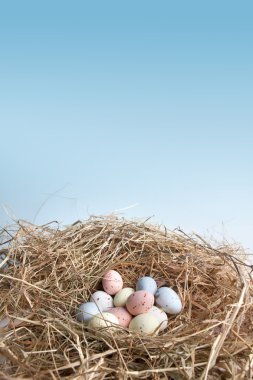 Nest with easter eggs clipart