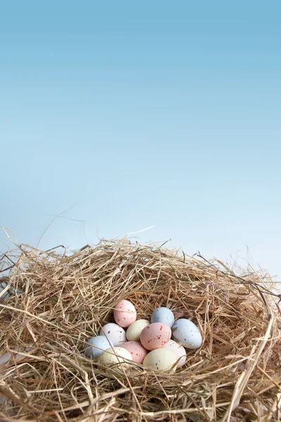 Гнездо с пасхальными яйцами — стоковое фото