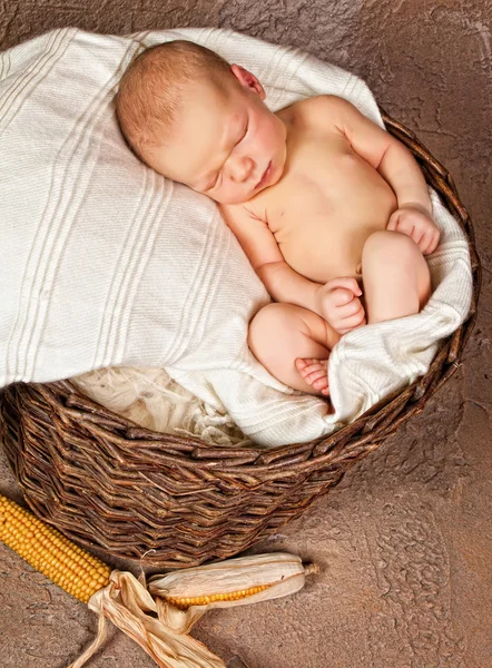 Bebé en canasta grunge — Foto de Stock