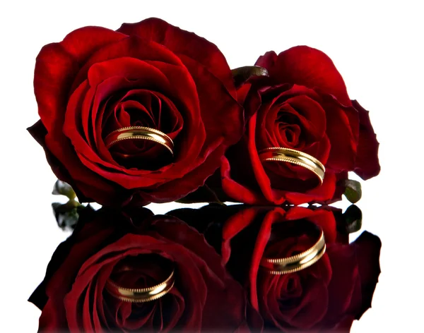 Rings in roses — Stock Photo, Image