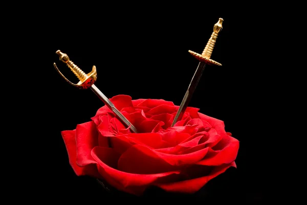 Des poignards dans une rose — Photo