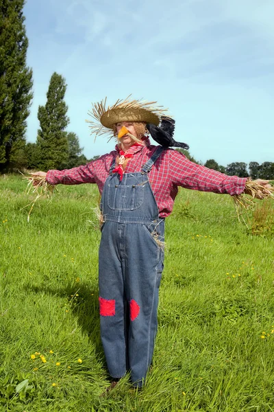 stock image Farmer acting as scarecrow