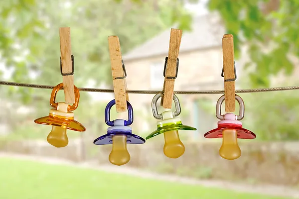 Pacifiers in line — Stock Photo, Image