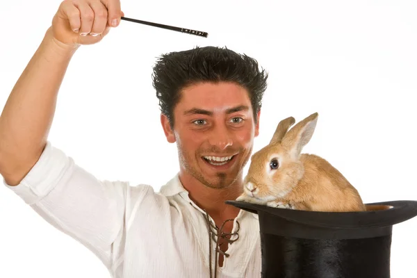 Překvapení králík — Stock fotografie