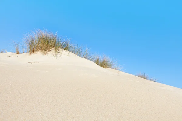 Sandy dunes — Stock Photo, Image