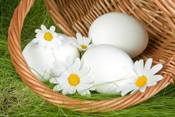 Cesta de Páscoa com ovos — Fotografia de Stock