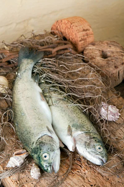 Seafood still life — Stock Photo, Image