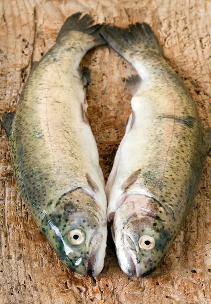 Simmetria dei pesci — Foto Stock