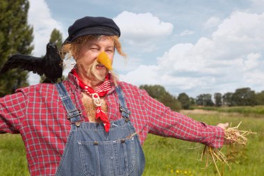 Scarecrow with black crow clipart