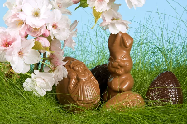 Easter bunny in springtime — Stock Photo, Image