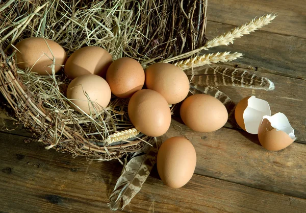 棕色鸡蛋和小麦 — 图库照片