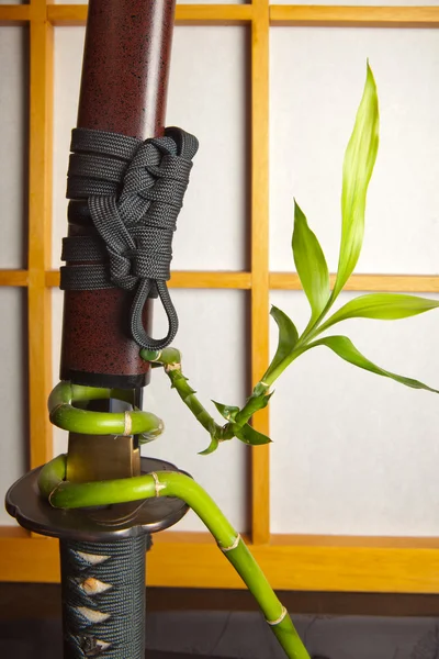 Bamboo and japanese sword — Stock Photo, Image