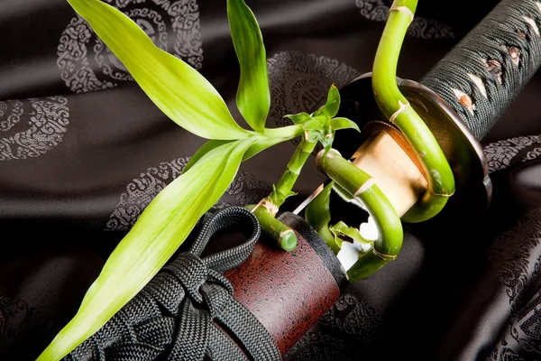 Sword and bamboo — Stock Photo, Image