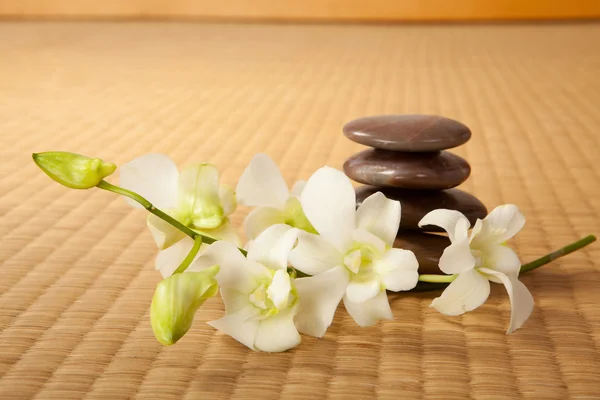 Zen stenen en orchideeën — Stockfoto