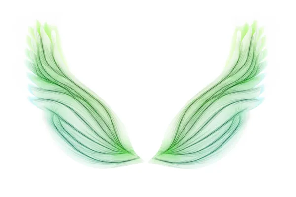 Green wings — Stock Photo, Image