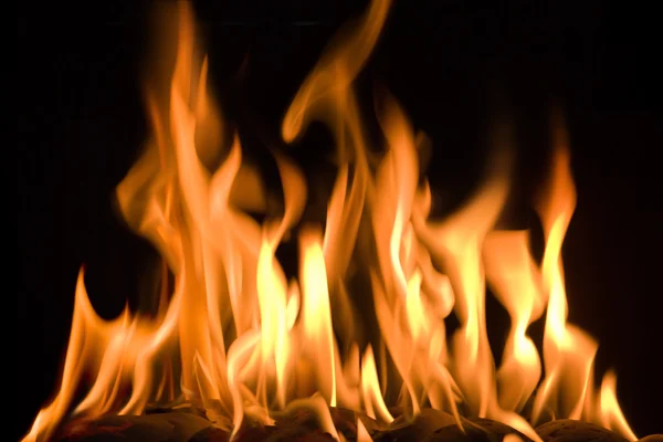 Velký požár — Stock fotografie