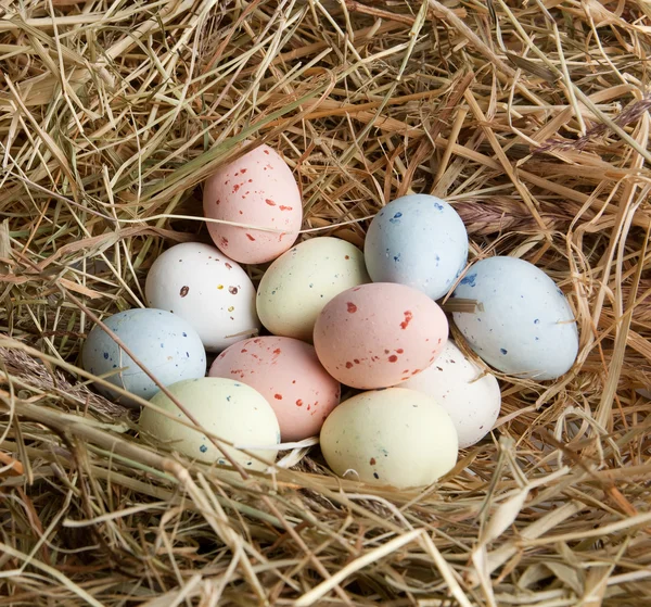 Pastel eggs in nest — Stock Photo, Image