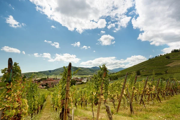 Francuskiej Alzacji wina wieś — Zdjęcie stockowe