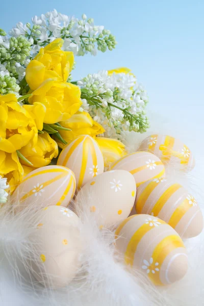 Jarní květiny a vejce — Stock fotografie