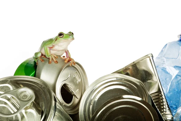 Recykling żaba — Zdjęcie stockowe