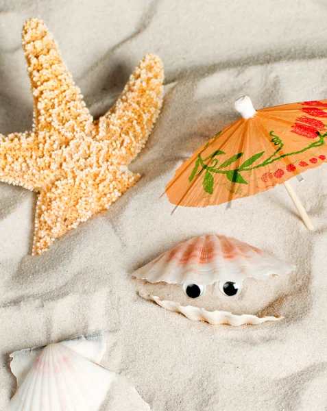 Seashell looking around — Stock Photo, Image