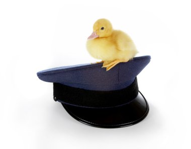 Police duck clipart