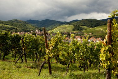 Andlau wine village Alsace clipart