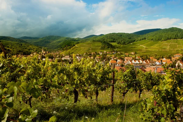 Alsace village in summertime — Stock Photo, Image