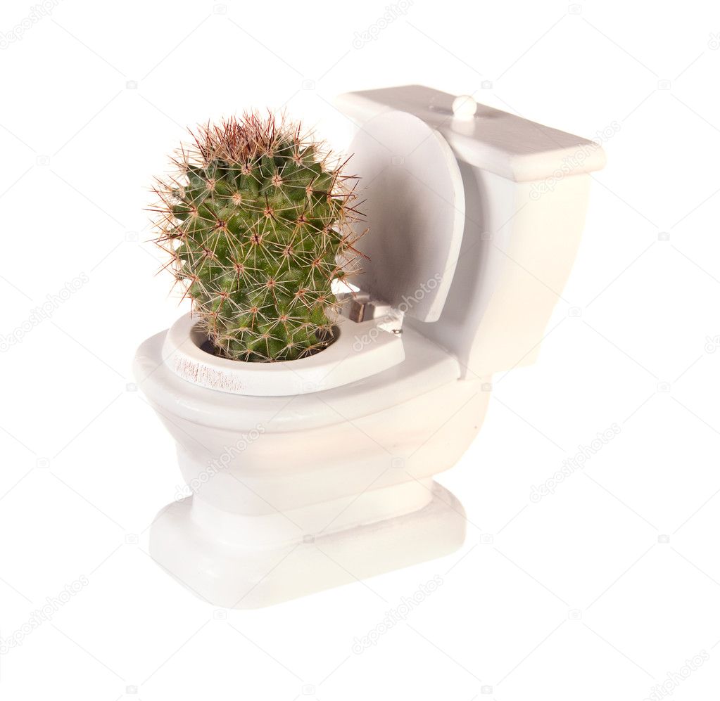 Cactus toilet