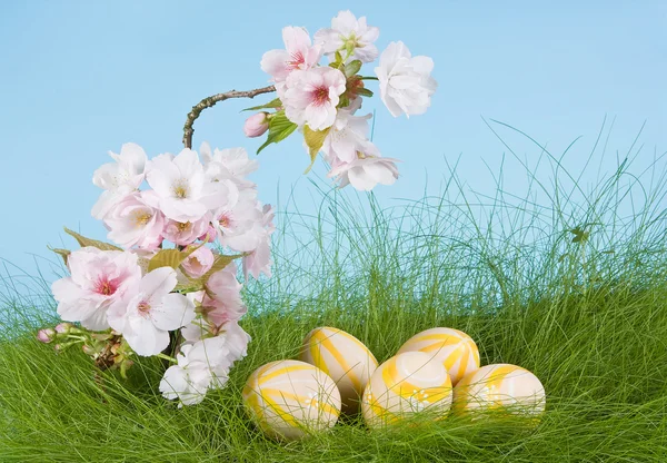 Весенние цветы и пасхальные яйца — стоковое фото