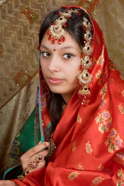 Indiase saree — Stockfoto