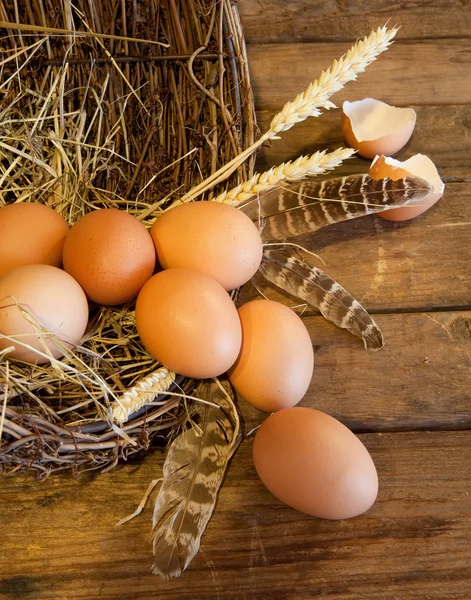 stock image Basket of eggs
