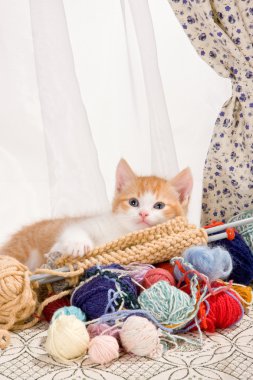 Knitting kitten clipart