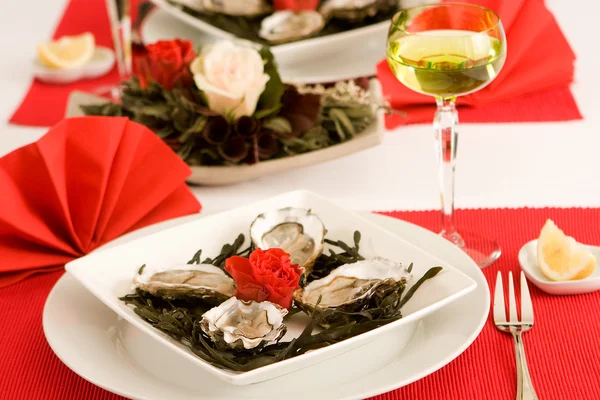 Festive oysters — Stock Photo, Image