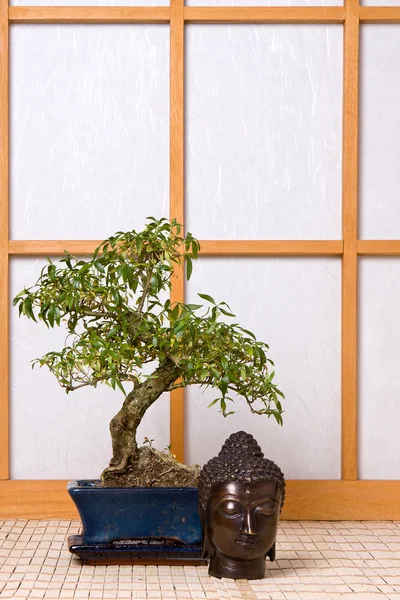 Buddha and bonsai — Stock Photo, Image