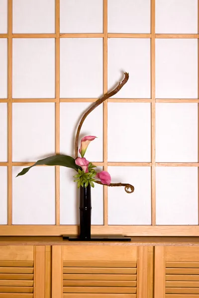 Ikebana en shoji venster — Stockfoto
