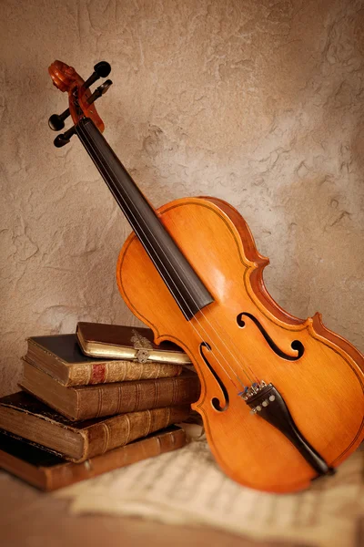 Klasické housle a staré knihy — Stock fotografie