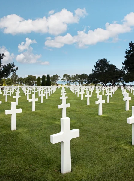 Rows of graves — Stock Photo, Image