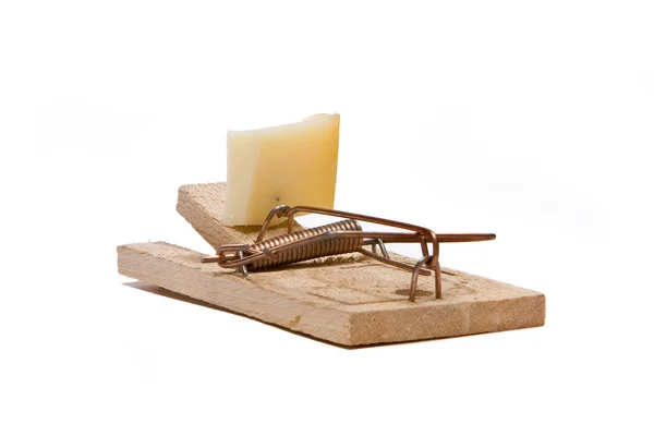 Mouse trap — Stock Photo, Image