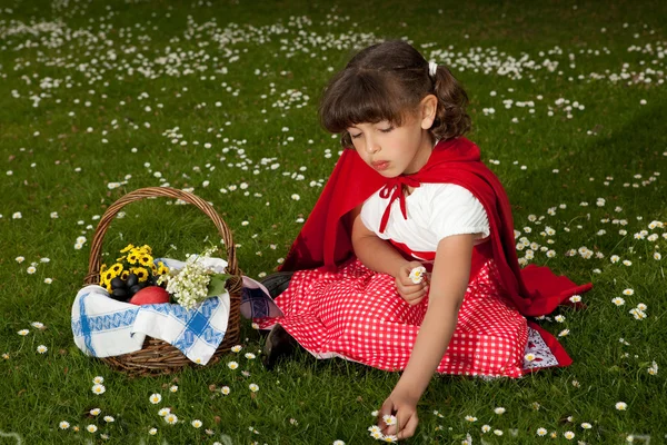 Red riding hood picking daisies — Stock Photo, Image